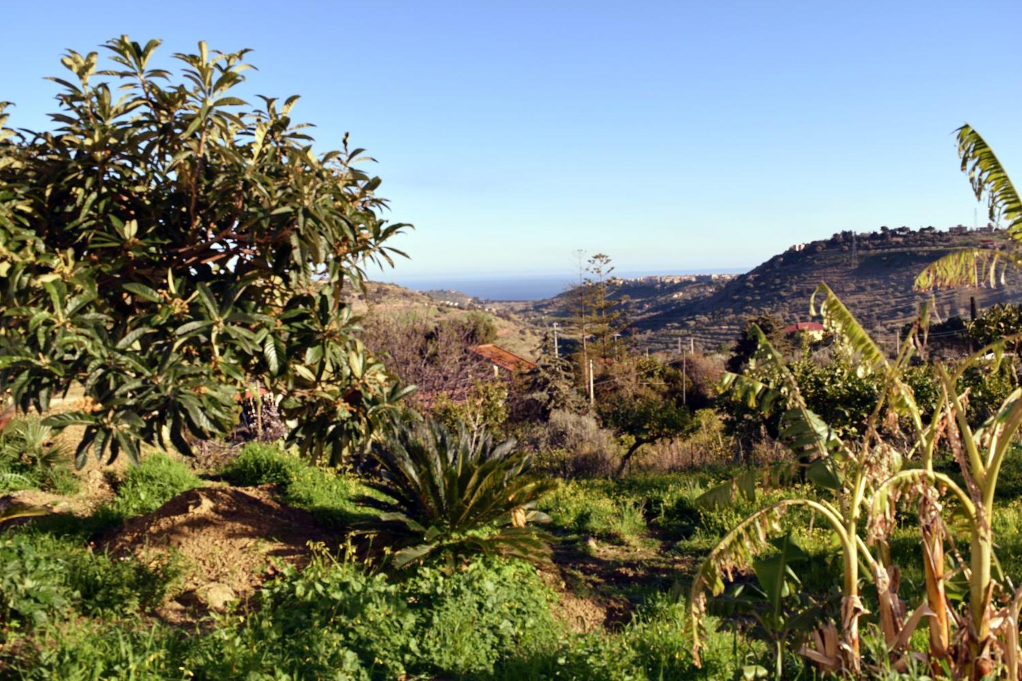 Granatelli Holiday Home Altavilla Milicia Bagian luar foto