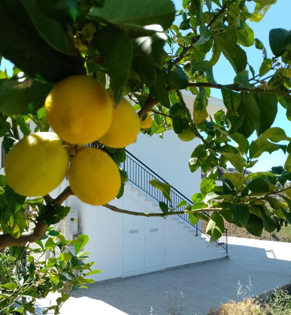 Granatelli Holiday Home Altavilla Milicia Bagian luar foto